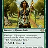 Noble Hierarch