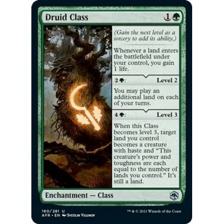 Druid Class