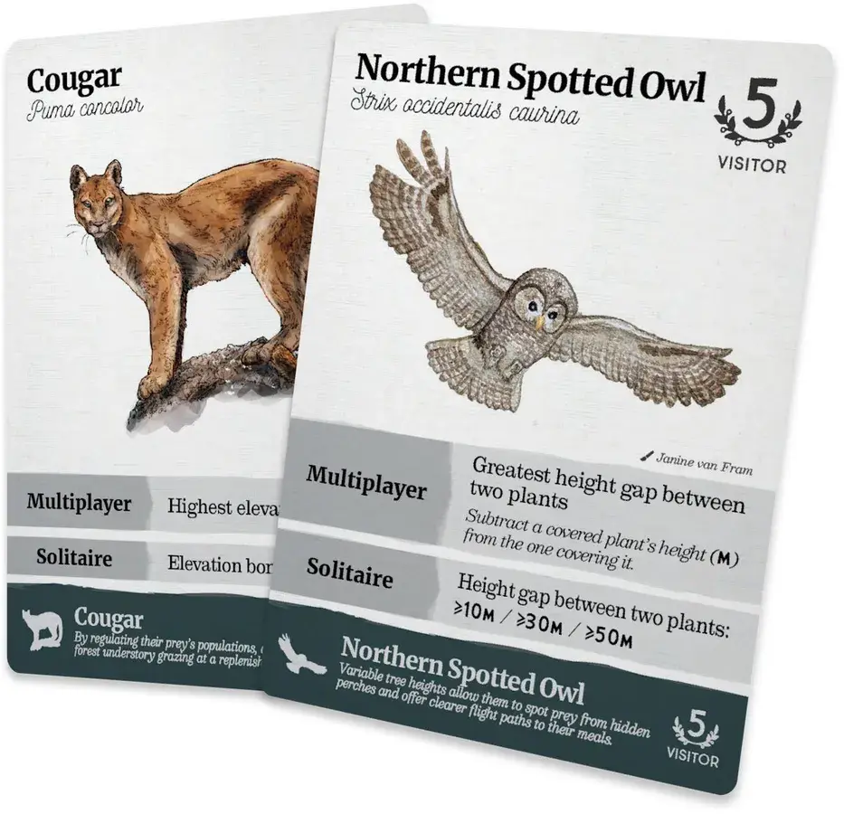 PREORDER - Reforest: Old Growth