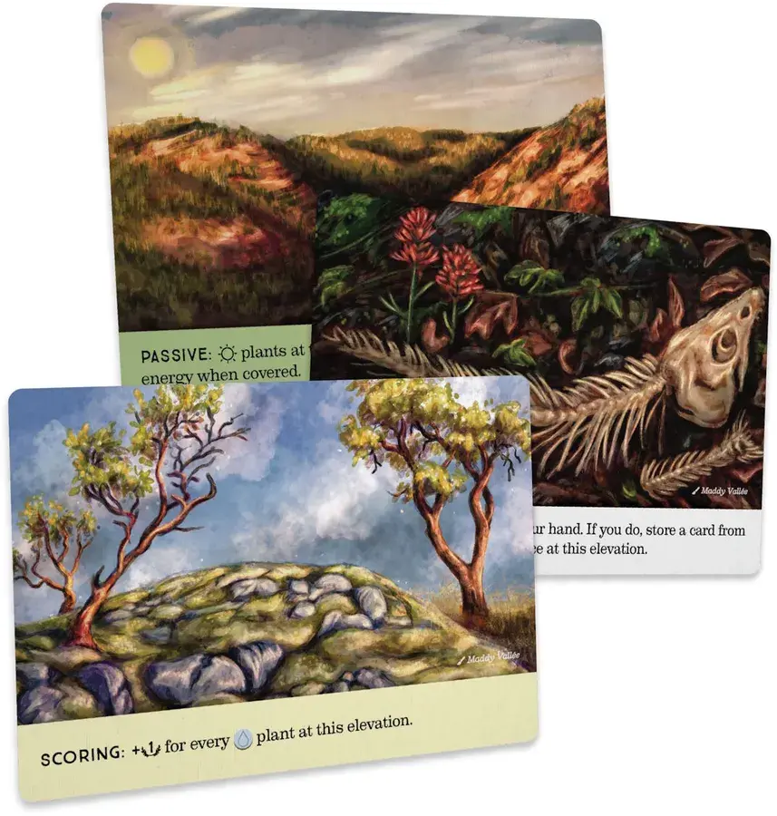 PREORDER - Reforest: Old Growth