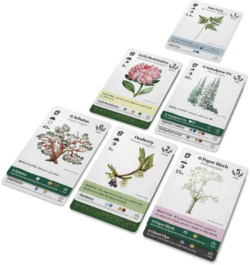 PREORDER - Reforest: Old Growth