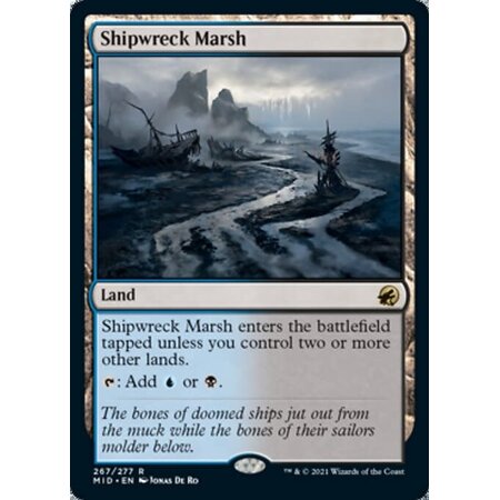 Shipwreck Marsh