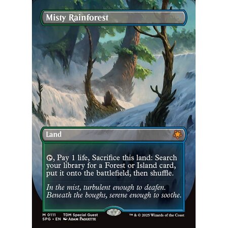 Misty Rainforest (LP)