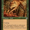 Young Wolf - Foil