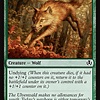 Young Wolf - Foil