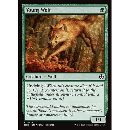 Young Wolf - Foil