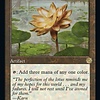 Gilded Lotus