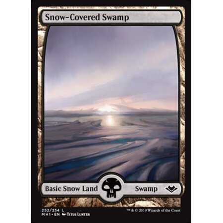 Snow-Covered Swamp - Full Art (252)