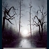 Swamp (377) - Full Art