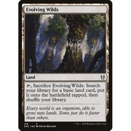 Evolving Wilds