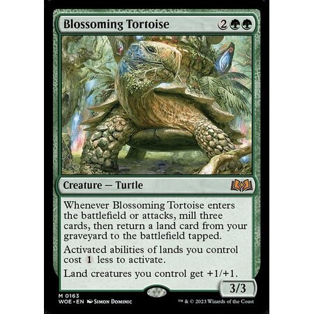 Blossoming Tortoise