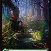 Forest (306) - Full Art