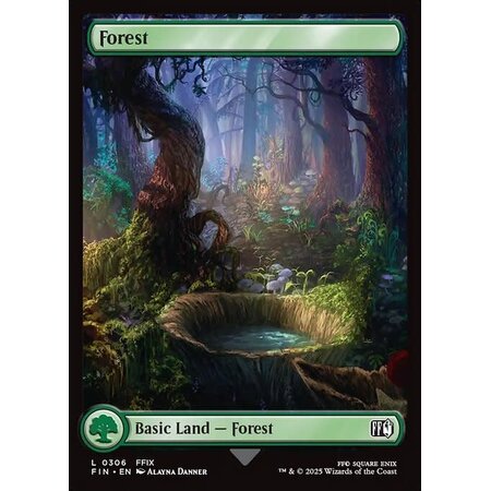 Forest (306) - Full Art Foil