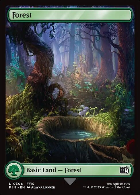 Forest (306) - Full Art Foil