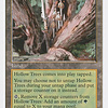 Hollow Trees