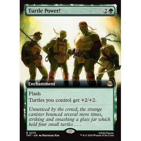 Turtle Power!