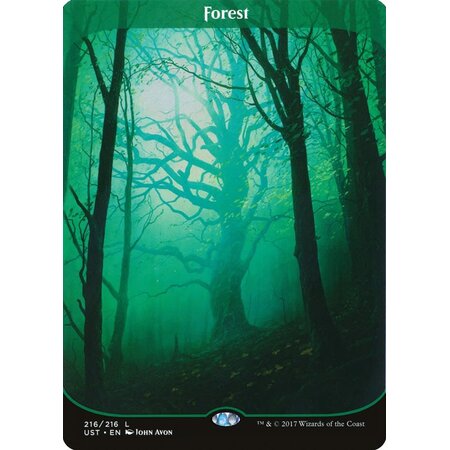 Forest (216) - Full Art