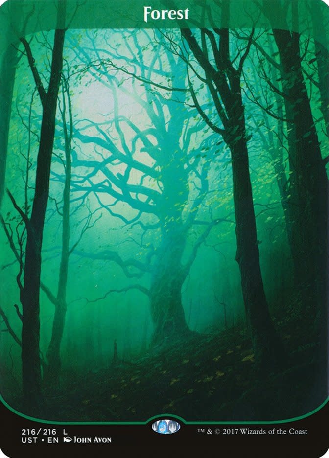 Forest (216) - Full Art