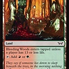 Bleeding Woods - Foil