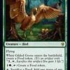 Gilded Goose