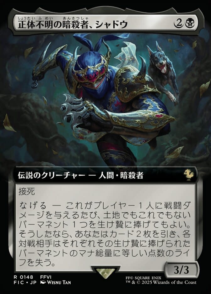 Shadow, Mysterious Assassin (Japanese)