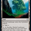 Myriad Landscape