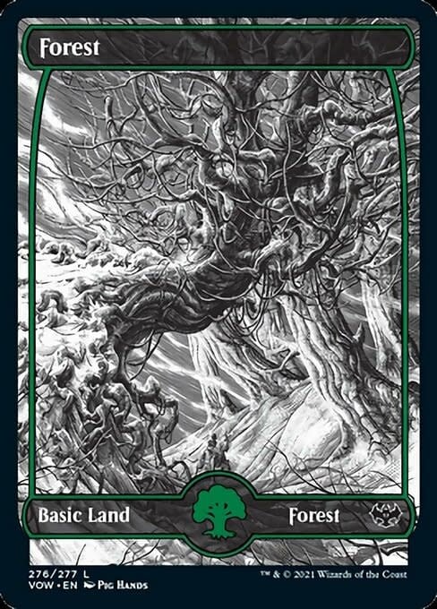 Forest (276) - Full Art