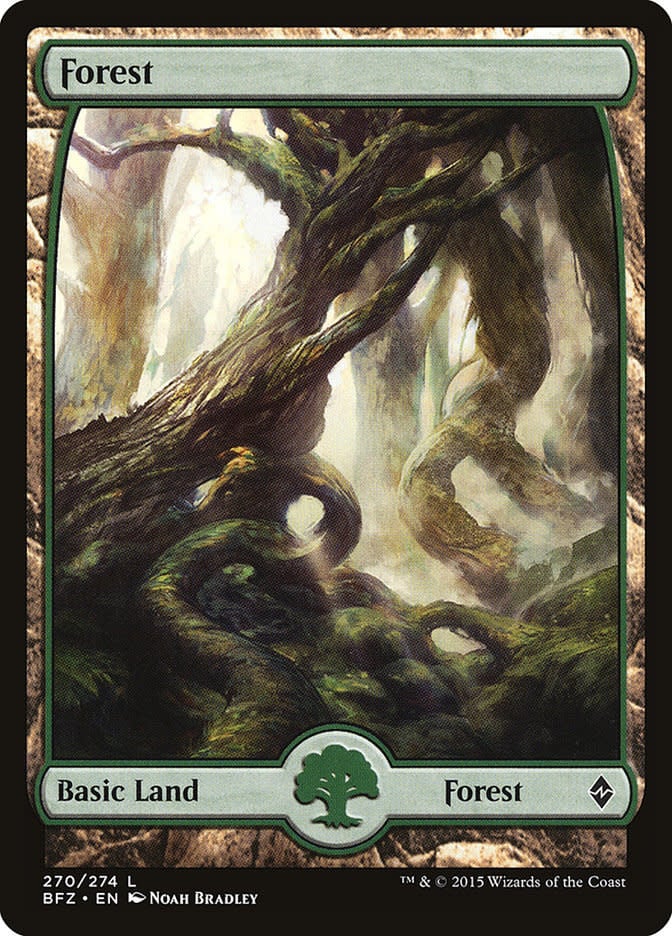 Forest (270) - Full Art - Foil