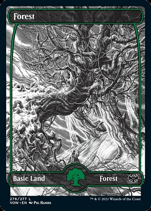 Forest (276) - Full Art - Foil