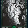 Forest (276) - Full Art - Foil