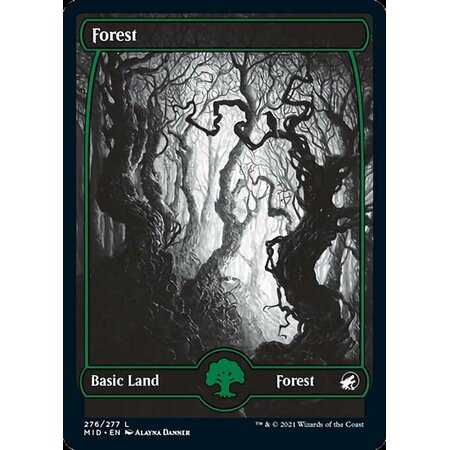 Forest (276) - Full Art - Foil