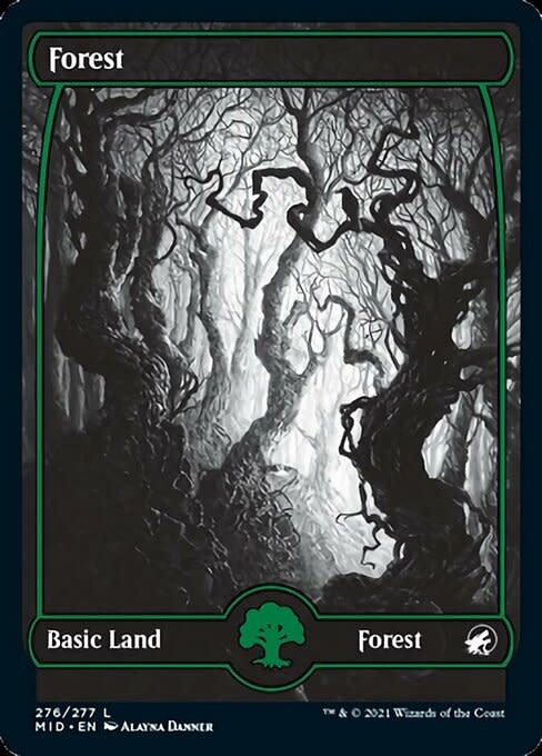 Forest (276) - Full Art - Foil