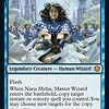 Naru Meha, Master Wizard