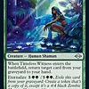 Timeless Witness
