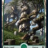 Forest (279) - Full Art