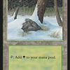Snow-Covered Forest