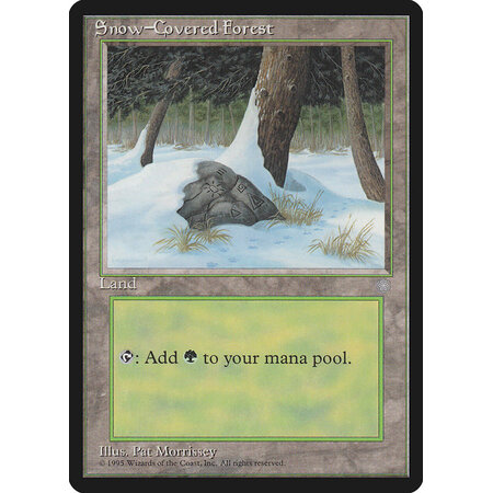 Snow-Covered Forest