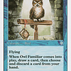 Owl Familiar