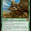 Ancient Adamantoise