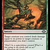 Stump Stomp
