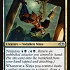 Ingenious Infiltrator