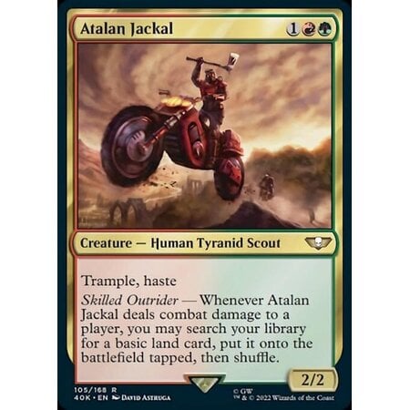 Atalan Jackal