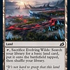 Evolving Wilds