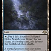 Polluted Delta