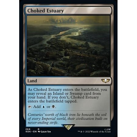 Choked Estuary