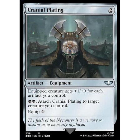 Cranial Plating