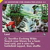Evolving Wilds
