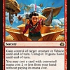 Kari Zev's Expertise