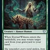 Eternal Witness