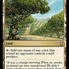 Exotic Orchard